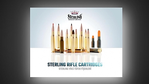 Rifle Cartridges